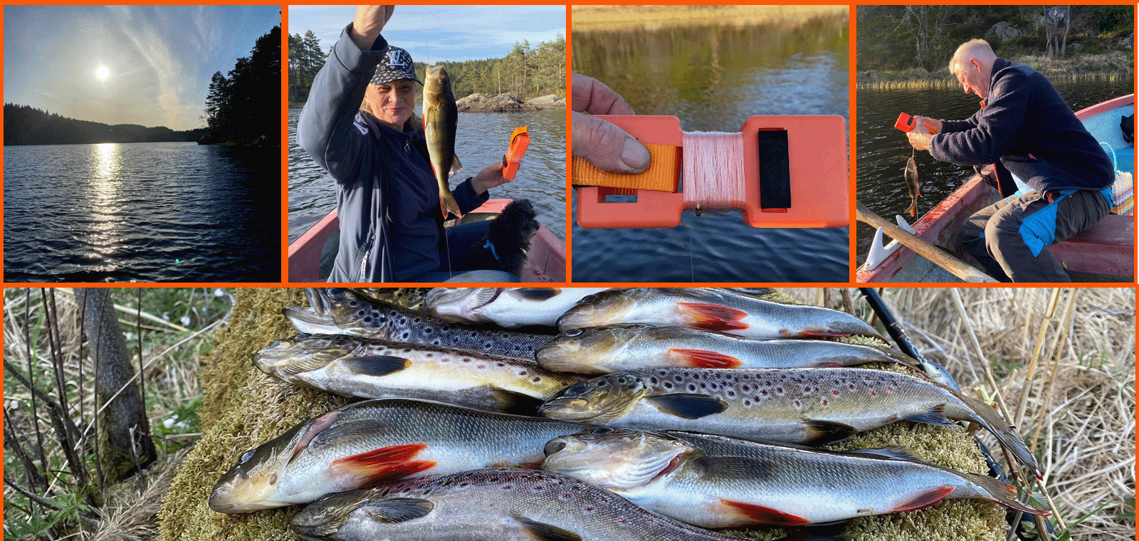 Friluftsliv med Orret Fiske i Ferskvann.mp4