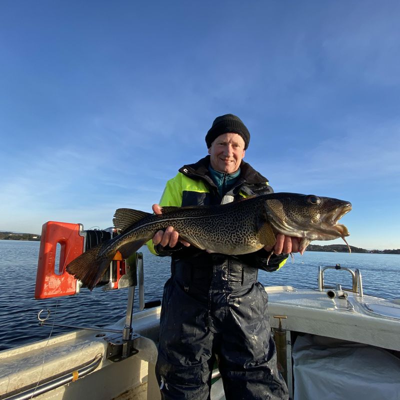 Hvilket havfiskeutstyr passer best til torskefiske?